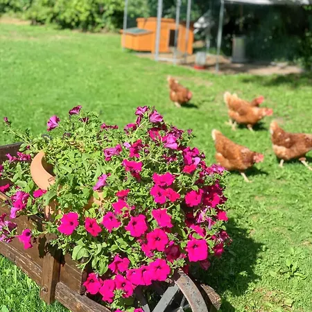 Apartmán Cozy In With View Ardanué