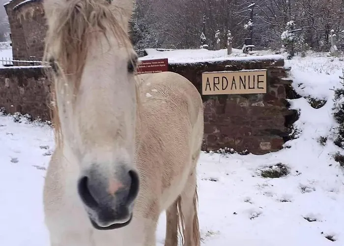 Cozy In With View Lägenhet Ardanué