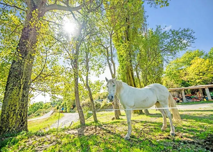 Lägenhet Cozy In With View