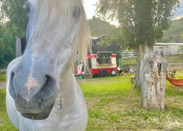 Cozy In With View * Ardanué