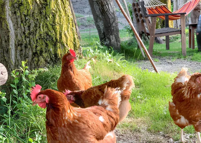 Cozy In With View Lägenhet Ardanué